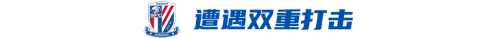 申花主场遭绝杀双线受创，盖伊重伤或赛季报销
